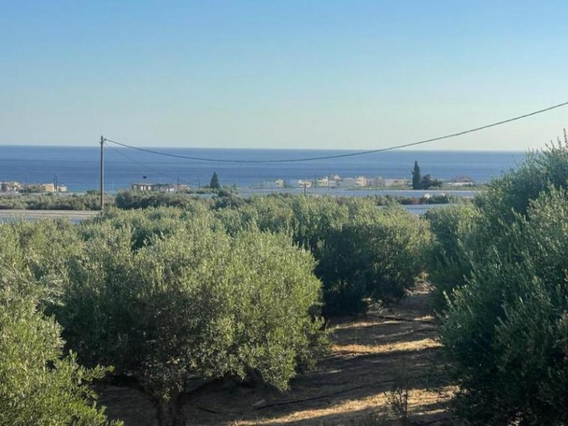 Koutsouras Kreta, Koutsouras: Tolles Baugrundstück in Meeresnähe zu verkaufen Grundstück kaufen